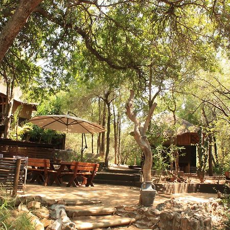 Off Beat Safaris Bush Lodge Hoedspruit Exteriér fotografie