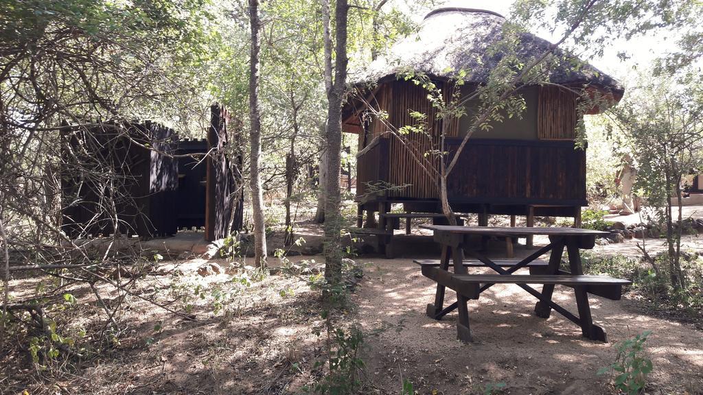 Off Beat Safaris Bush Lodge Hoedspruit Exteriér fotografie