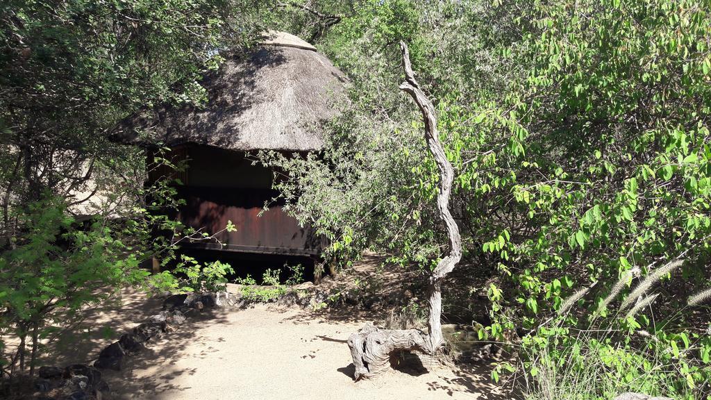Off Beat Safaris Bush Lodge Hoedspruit Exteriér fotografie