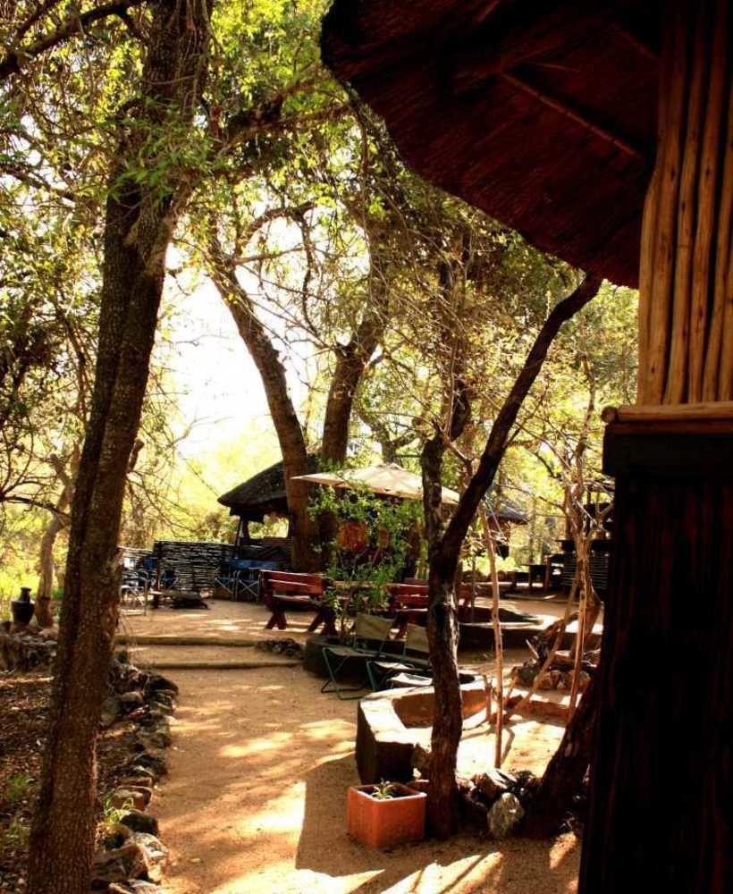 Off Beat Safaris Bush Lodge Hoedspruit Exteriér fotografie