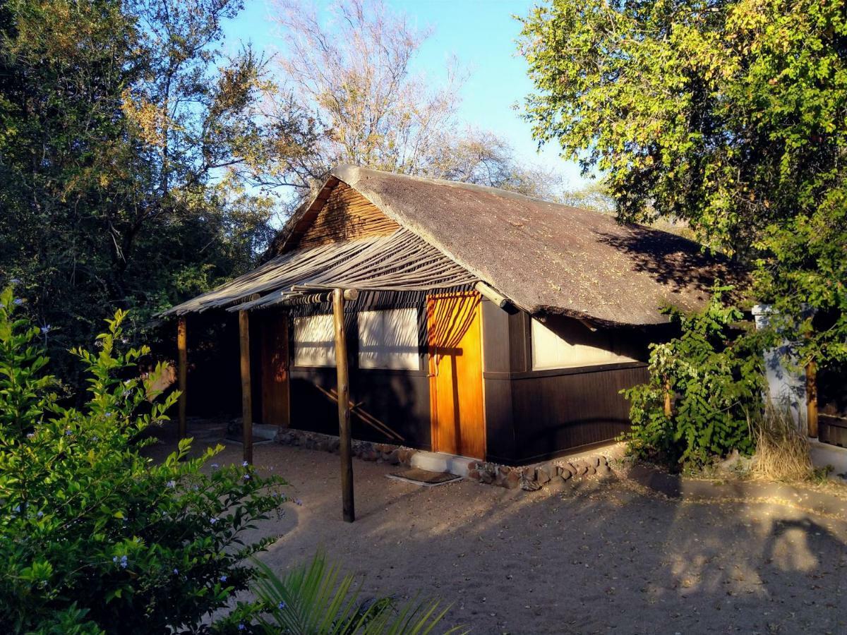 Off Beat Safaris Bush Lodge Hoedspruit Exteriér fotografie