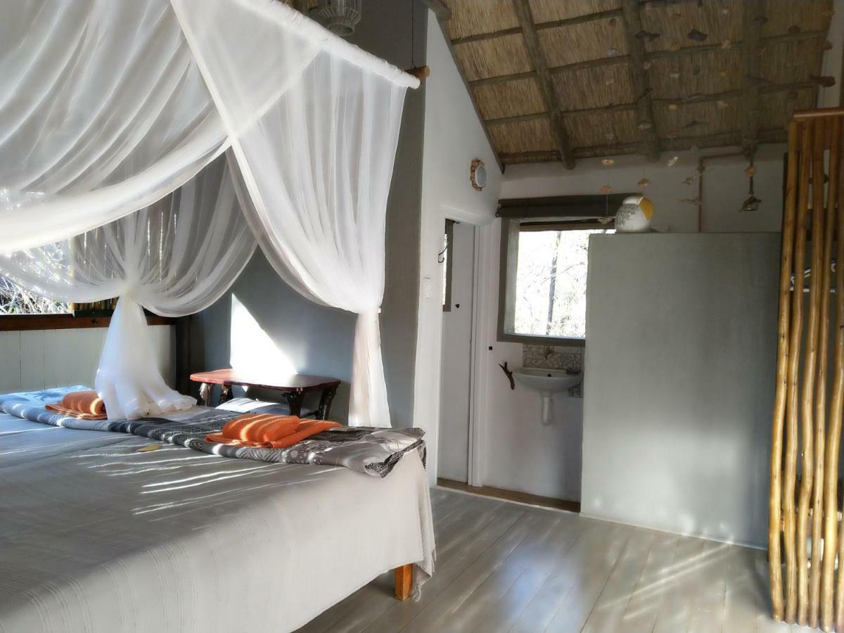 Off Beat Safaris Bush Lodge Hoedspruit Exteriér fotografie