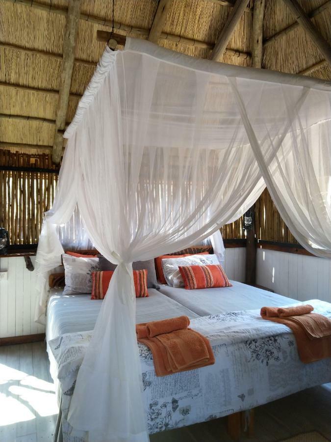 Off Beat Safaris Bush Lodge Hoedspruit Exteriér fotografie