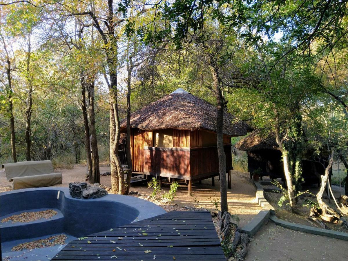 Off Beat Safaris Bush Lodge Hoedspruit Exteriér fotografie