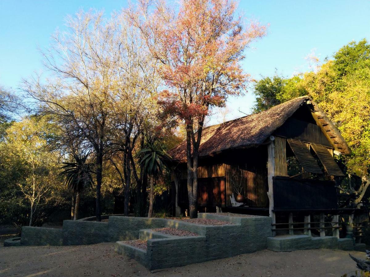Off Beat Safaris Bush Lodge Hoedspruit Exteriér fotografie