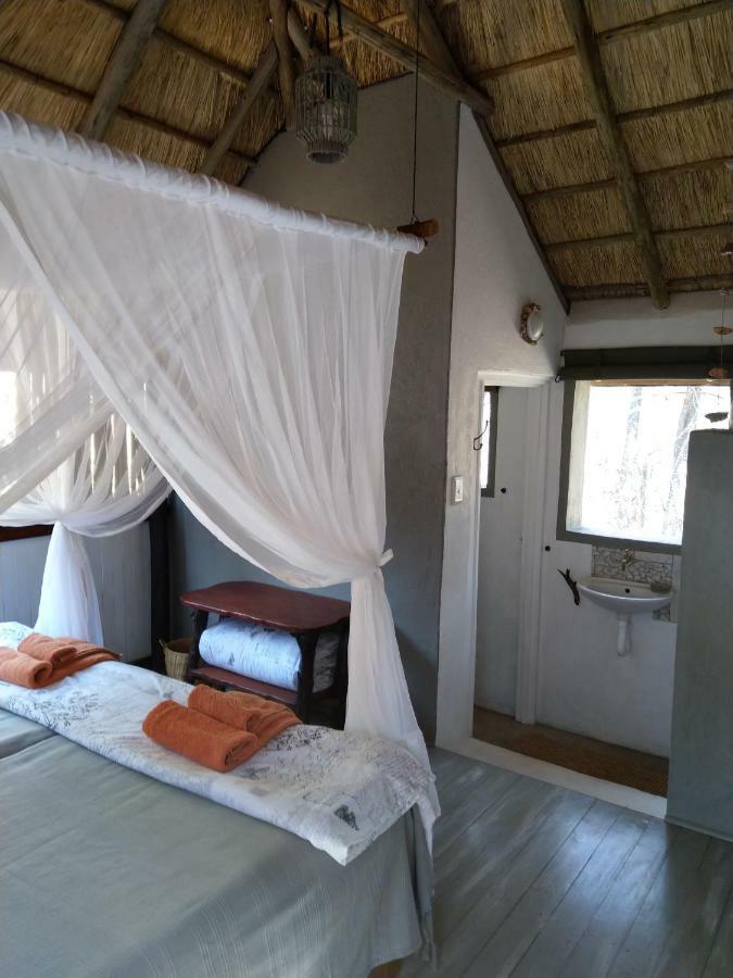 Off Beat Safaris Bush Lodge Hoedspruit Exteriér fotografie
